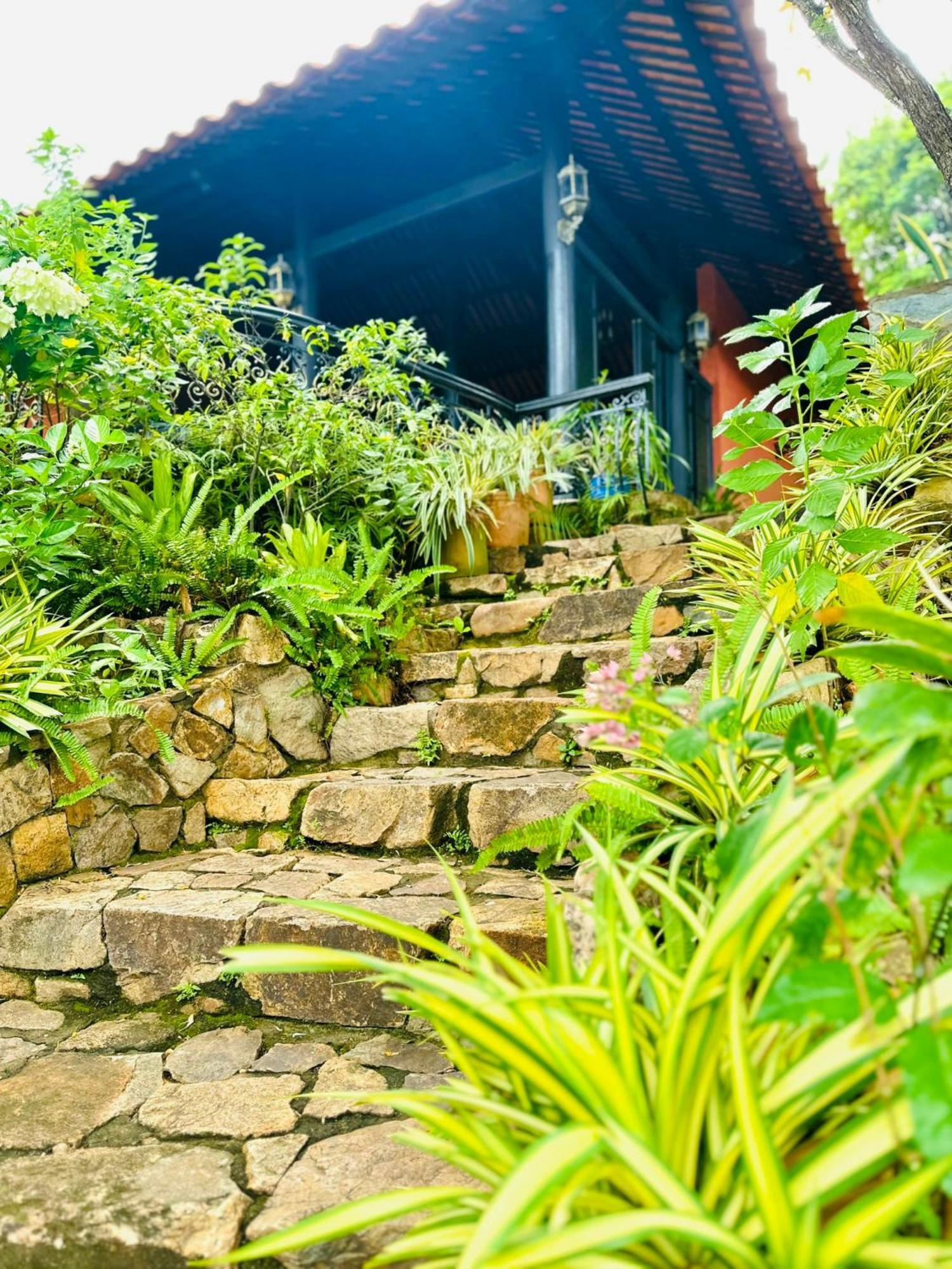 Binh An Village Vung Tau Buitenkant foto