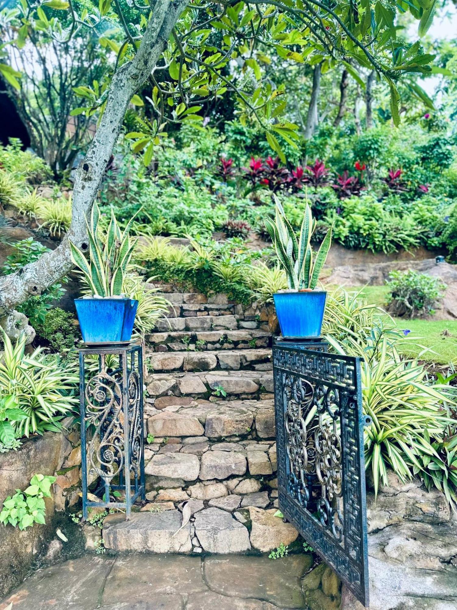 Binh An Village Vung Tau Buitenkant foto