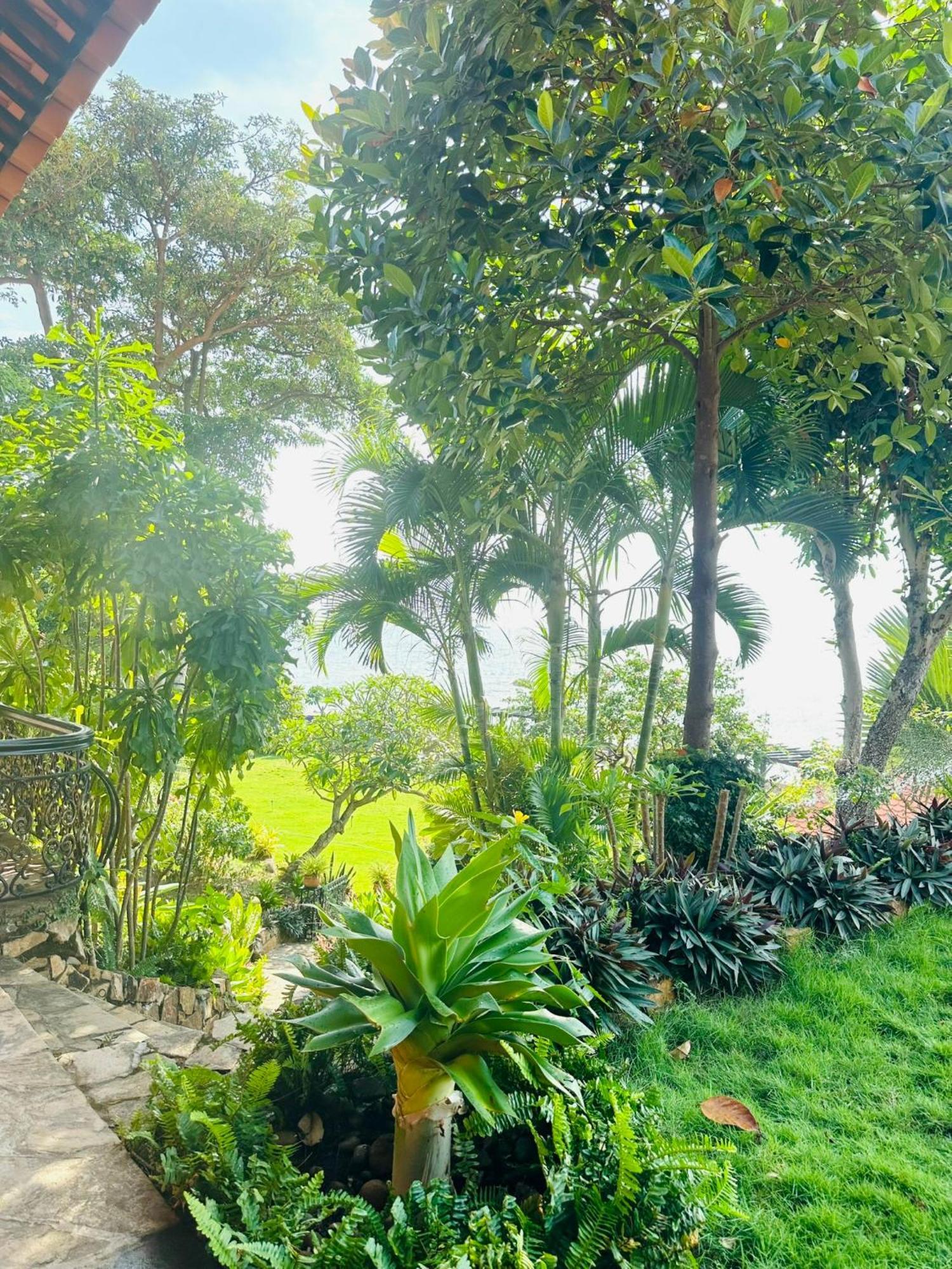 Binh An Village Vung Tau Buitenkant foto
